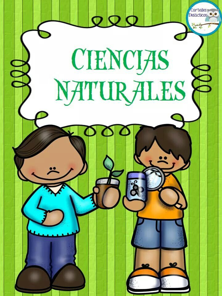 Ciencias Naturales Segundo (B)